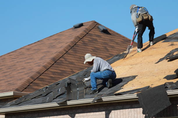 Best Roof Coating and Sealing  in Montverde, FL